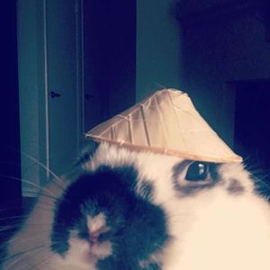 Meet your Posher, Margot